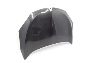   Hood  - 651009018R 
