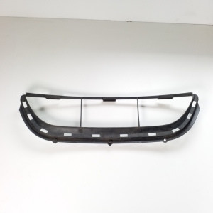   Other part of the front bumper 