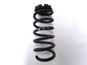   Rear spring 