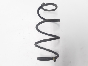   Feder hinten  - 550209055R 