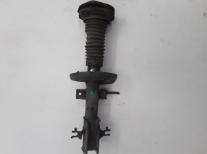   Stoßdämpfer vorne  - 543035090R 