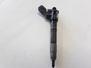   Fuel injector 