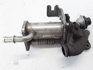   EGR valve cooler 