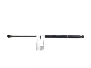   Heckklappendämpfer  - 689500W540 