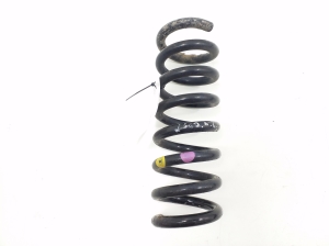   Rear spring 