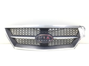   Front grille 