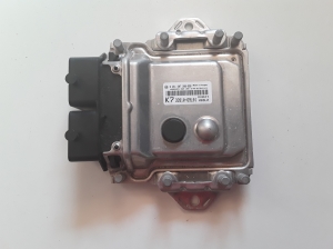 Engine control unit - 3391069L01