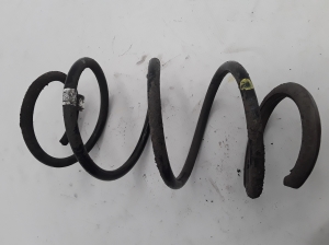 RENAULT Scenic (2009–2015) Front spring 540100123R - 3