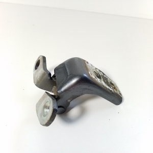Rear side door lower hinge