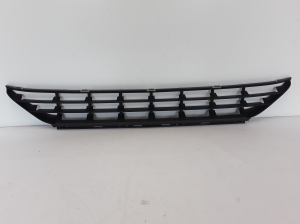  Front bumper lower grille 