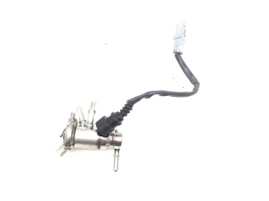   AdBlue nozzle  - 208995377R 