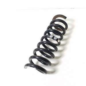   Feder hinten  - A2023242504 