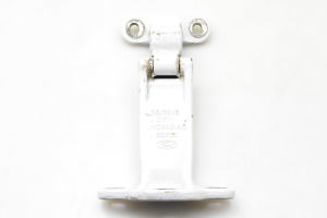 Tailgate hinge - V42982AC
