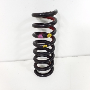   Rear spring 