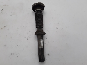 Stoßdämpfer vorne - 31658002