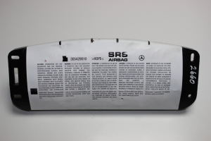   Airbag passenger panels 