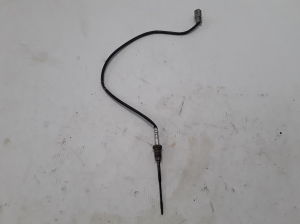Izplūdes gāzu temperatūras sensors - 226401632R