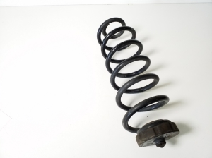   Rear spring 