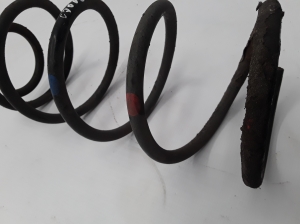 VOLVO C70 II (2006–2013) Front spring 30666203 - 3
