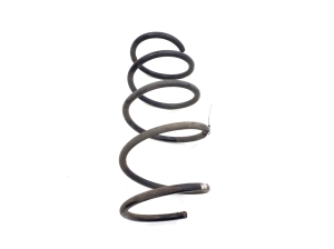   Front spring 