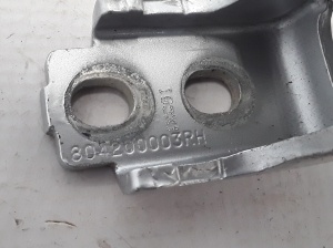 RENAULT Fluence (2009–2017) Front door lower hinge 804200003 - 4