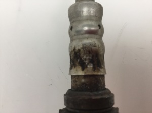 NISSAN Primera P12 (2001–2008) Lambda-andur 0ZA554-N8 - 2