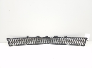  Front bumper lower grille 