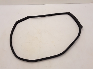   Rear side door seal on the door  - 51767226398 
