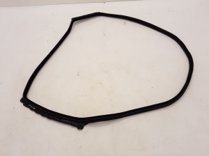 BMW 5 SERIES F07 (2009–2017) Rear side door seal on the door 51767226398 - 3