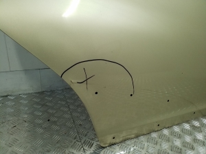 TOYOTA Yaris Verso (1999–2006) Tür hinten - 3