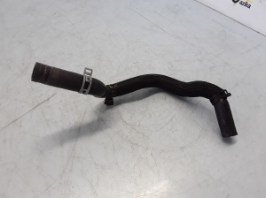 Radiator hose - 110606037R 