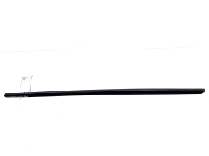 TOYOTA Prius W50 (2015–2020) Außenfensterdichtung vordere Tür 7572047040 - 2
