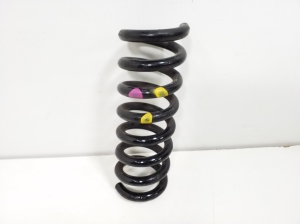   Rear spring 