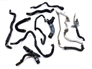  Hose  -  