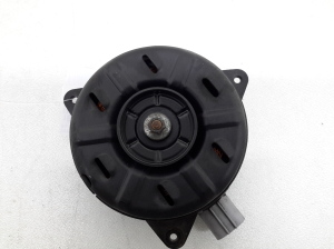 Kühlerlüftermotor - 1636328160