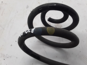 RENAULT Zoe (2012–2026) Rear spring 550206834R - 2