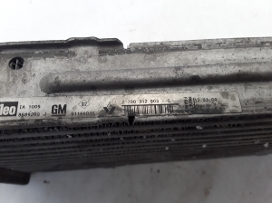 Opel Vivaro A (2001–2014) Ladeluftkühler 7700312903 - 2