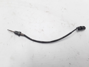 RENAULT Scenic (2016–2026) Heitgaasi temperatuuriandur 147308126R - 2