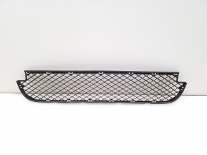  Front bumper lower grille 