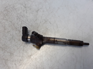RENAULT Megane III (2008–2016) Kütusepihusti 82002940788 - 2