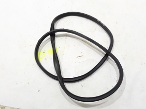 RENAULT Scenic (2016–2026) Rear side door seal on the door 769233609R - 2