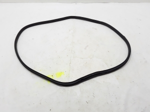 RENAULT Scenic (2016–2026) Rear side door seal on the door 769233609R - 3
