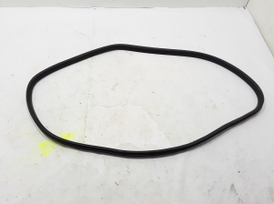   Rear side door seal on the door  - 769233609R 