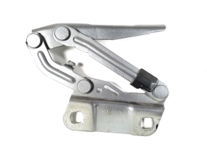 Hood hinge - A2518800428