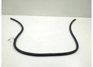   Front door sealing rubber 