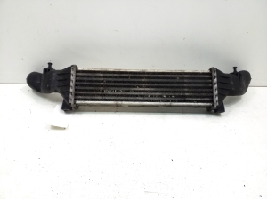 Mercedes Benz CLK-Class 208 (1997–2002) Vahejahuti radiaator A2025001100 - 3