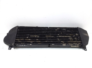 Mercedes Benz ML-Class 163 (1998–2005) Starpdzesētāja radiators A1635000600 - 2