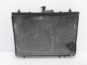Dzesēšanas radiators - 214008764R