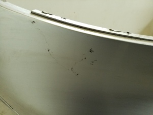 AUDI A5 (2007–2016) Rear bumper - 4