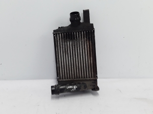 Dacia Lodgy (2012–2026) Vahejahuti radiaator 144965154R - 4